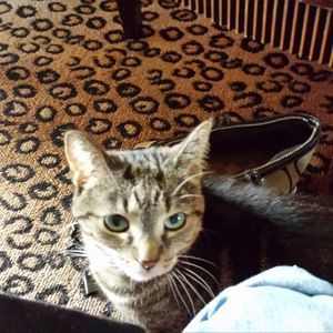 Meet your Posher, Sherri